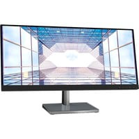 L29w-30 73,7 cm (29") 2560 x 1080 Pixeles Quad HD LED Negro, Plata, Monitor LED características