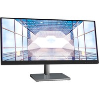 L29w-30 73,7 cm (29") 2560 x 1080 Pixeles Quad HD LED Negro, Plata, Monitor LED