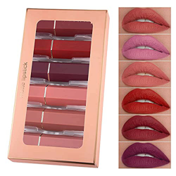 6 Colors Matte Liquid Lipstick Makeup Set,Waterproof Long-Lasting Moisturizing Makeup Lipsticks ,Non-Stick Cup Not Fade Velvet Lips Tint,Lipstick Make precio