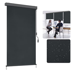 ACXIN Toldo vertical extensible para exterior, mecanismo de manivela, para balcón, protección solar y visual, con manivela, para terraza y balcón (140 características