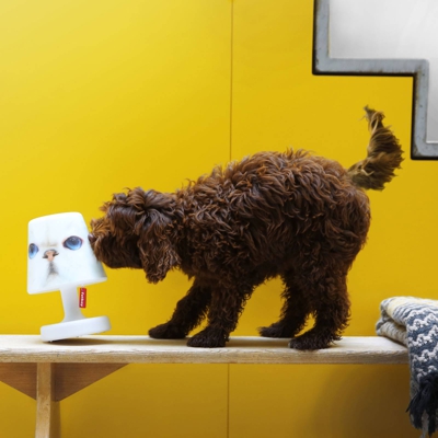 Fatboy Cooper Cappie pantalla, smelly cat