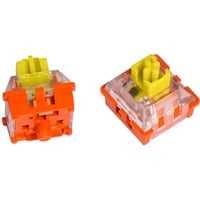 Interruptor de botón