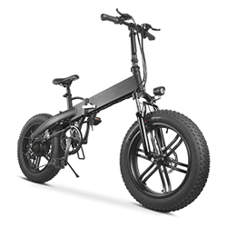 Bicicleta eléctrica MK012, 20 pulgadas, Fat Tire Ebike, 25 km/h, bicicleta de montaña de 36 V, controlador inteligente Endurance, bicicleta eléctrica  características