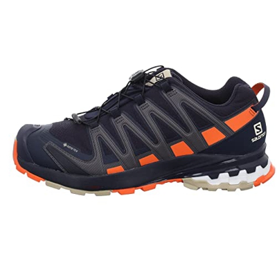 Salomon XA Pro 3D V8 Gore-Tex (impermeable) Hombre Zapatos de trail running, Azul (Night Sky/Red Orange/Safari), 44 EU
