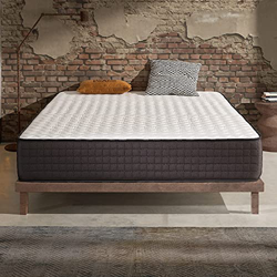 Naturalex | Titanium | Colchón 160x200 Cm Viscoelástico Premium 20 Cm | Nueva Tecnología Soporte Blue Látex Firme | Efecto Anti-Presión Ergonómico | T características