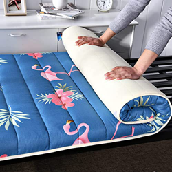 Colchón De Rollito Plegable, Colchón De Piso Japonés Futon Tatami Colchón De Dormir Almohadilla,C,100x200cm características