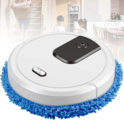 FENS Robot de aspiración Fregona, Robot de Barrido Inteligente Multifuncional, aspiradora silenciosa de bajo Ruido para Pelo de Mascotas, Alfombra, Pi características