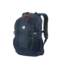 Lafuma - Alpic 20 - Mochila Unisex para Senderismo y Día a Día - Volumen 20 L - Estampado Eclipse Blue, Talla única características
