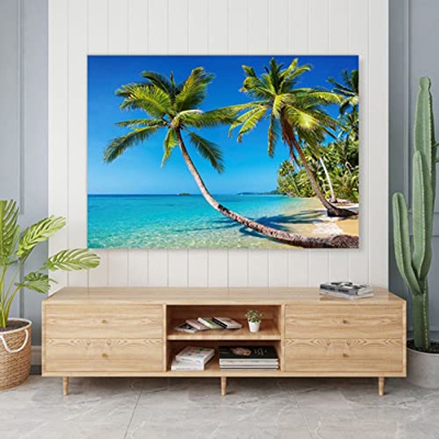 DSFE Tela Cubierta de Pantalla Curva de TV LCD - Lavable sin decoloración y sin deformación Respirable Estuche Protector - para 32 a 75 Pulgadas TV In