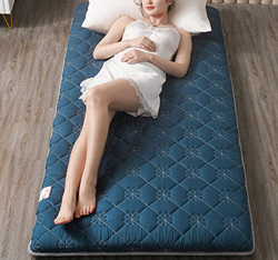 ZWMG Colchn de Suelo japons porttil - 5.5 CM de Espesor Colchn de futn para Dormir Tatami, Colchn Enrollable Plegable Suave Colchn Transpirable para A en oferta