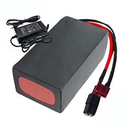 IVIWCLOP Paquete Batería Litio para Bicicletas Eléctricas De 48V Paquete Batería Bicicleta Eléctrica Iones Litio 20Ah 13S6P con BMS Y Cargador Apto pa características