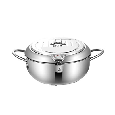 Yargole Freidora con Control de Temperatura, freidora Tempura doméstica con termómetro y Tapa Mini freidora de Acero Inoxidable Olla de Cocina Univers