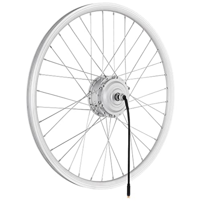 windmeile | Bicicleta eléctrica con motor de buje delantero, con radios, color plateado, 20 pulgadas, 48 V/250 W, bicicleta eléctrica, pedelec