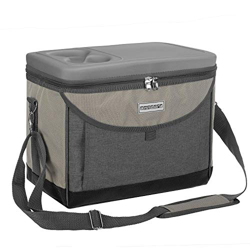 anndora - Nevera portátil (22 L, 35 x 24 x 27 cm), color gris champán precio