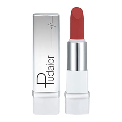 1PC Lápiz Labial Regalo Para Damas, Mate De Polvo Altamente Pigmentado Barras De Labios