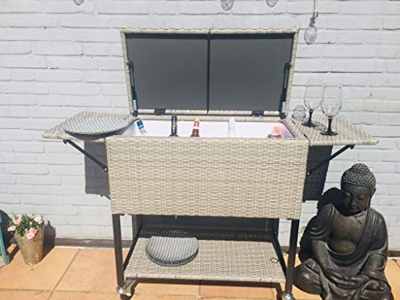 Carro de servir con nevera portátil para bebidas, enfriador de bebidas, helado, fiesta, carrito auxiliar para catering, nevera para eventos