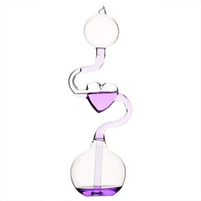 OBEST Único Termómetro Juguete Ciencia Educación Juguetes Caldera de Mano Decoración del hogar Ornamento Regalo