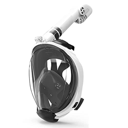 Desconocido Máscaras de Buceo Buceo Científico Anti-Niebla Scuba Fitting Equipo de Snorkel a Prueba de Agua Natación para Adultos (Color : Green, Size características