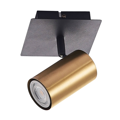Lindby Raisan foco de hierro, 1 luz