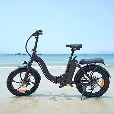 Bicicleta Eléctrica E-Bike Plegable 20 Pulgadas, 250W Motor para Batería de 48 V 10.4AH, Shimano de 7 Velocidades, con Medidor LCD, fácil Almacenamien