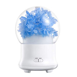 Jrechio Máquina de aromaterapia Purificador de Aire de humidificador de Aire de Aceite Esencial Floral for Oficina en casa zhangxianyu en oferta