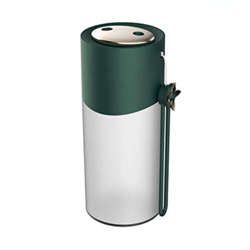 Jrechio Humidificador doméstico Mute Mini Mini Boquilla Doble Green Dark Dobre LA HUMIDIFICACIÓN PORRIFIFICACIÓN MÁQUINA DE AROMATERAPAPA zhangxianyu precio