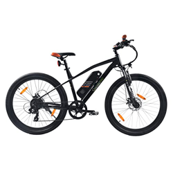 SachsenRAD Bicicleta eléctrica R6 Neo de 29 pulgadas, Pedelec con TÜV, hasta 25 km/h y 150 km, batería de 36 V y 500 Wh, motor de 250 W, 7 marchas, fr precio