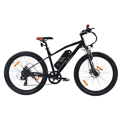SachsenRAD Bicicleta eléctrica R6 Neo de 29 pulgadas, Pedelec con TÜV, hasta 25 km/h y 150 km, batería de 36 V y 500 Wh, motor de 250 W, 7 marchas, fr