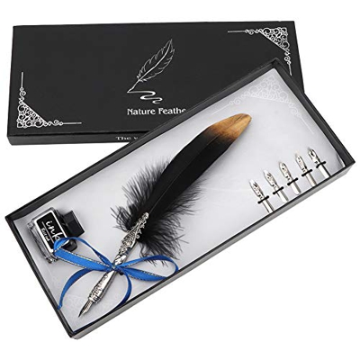 Tyenaza Juego de Pluma de Ave, Pluma de Ave, Pluma estilográfica de Pluma Vintage Europea, Pluma de caligrafía, Juego de Pluma de inmersión, Regalo de