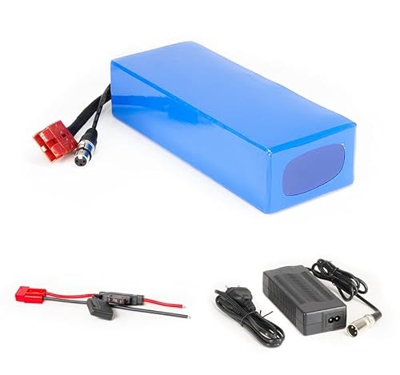 Batería de iones de litio de 24 V 25 Ah 600 Wh, incluye 60 A BMS y cargador para patinete eléctrico, pedelec, camping, barco