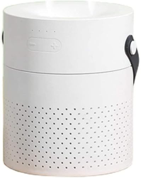 Haiqings Car inalámbrico silencioso Blanco Rociador humidificador Grande con diseño de cinturón portátil wangyiren93 precio