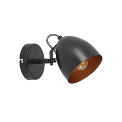 Lindby Fintja foco, negro/oro, 1 luz características