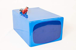 Batería de iones de litio de 24 V 100 Ah 2400 Wh, incluye 60 A BMS y cargador para scooter, bicicleta eléctrica, pedelec, camping, barco precio