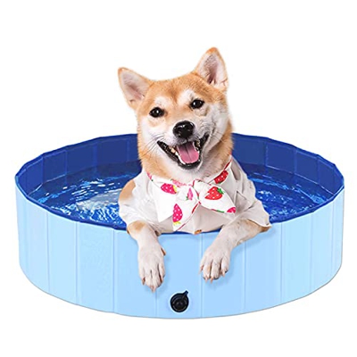 APP LIFE Pool - Piscina Plegable de plástico para Perros y Animales domésticos (80 x 20 cm)