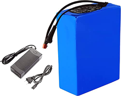 Bateria Bicicleta Electrica Paquete De Batería De Litio 36V 25Ah Batería De Litio Adecuada for 350W 450W 750W 800W Li-ion E-bike Bicicletas Eléctricas características