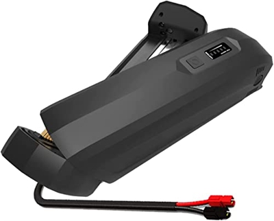 HJXX Bateria Bicicleta Electrica Batería Ebike de 48V, batería de Iones de Litio 8AH con USB Puerto y Cargador, batería de Bicicleta eléctrica for 20 