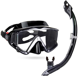 Juego de máscara de esnórquel, equipo de esnórquel, gafas de natación, juego de esnórquel seco y máscara para adultos, antivaho, vista al mar de 180 g en oferta