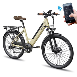 Fafrees F26-PRO [ Oficial ] Bicicleta eléctrica para mujer con aplicación E Bike de 26 pulgadas, 250 W hombre, 42 N.m, bicicleta de montaña con baterí características