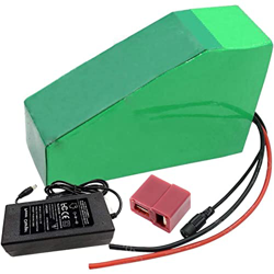 HJGHY Bicicleta Eléctrica Batería Litio 48V 15AH Paquete de batería de Bicicleta eléctrica con Cargador, para Bicicleta Eléctrica 200W 350W 500W 800W  precio
