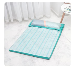 n/a Perra fría colchón de Almohada de Hielo colchón de Verano de Verano almo (Color : A, Size : 73 * 110cm) precio