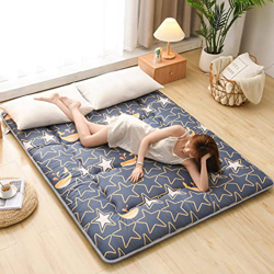 V&U Japonés Impreso Futon Colchones,Thicken Tatami Colchón De Piso,Alfombra Plegable Enrollable para Dormir para Huéspedes Dormitorio Camping Travel-D precio
