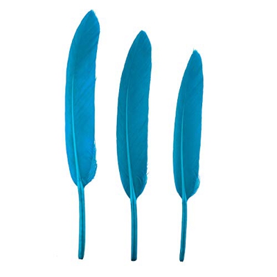 50 unidades de cuchillos rectos Feather pequeños con plumas de colores, para guardería, manualidades, almacenamiento de lápices, escritorio, madera, t