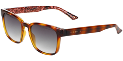 Gafas de Sol Ted Baker TB1635 427 características