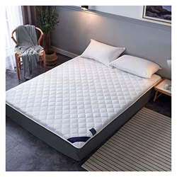 LIUAN Colchón estudiantil colchón de futón Plegable colchón Espesor colchón colchón Tatami Almohadilla for Dormir Roll up Doble Sencillo 22.7.3 (Color precio
