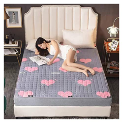 LIUAN Colchón de Piso colchón Plegable colchón de Rollo un Solo colchón de futón de Tatami colchón de Tatami Dormitorio Estudiante colchón colchón for en oferta