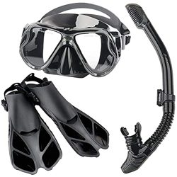 Spacmirrors Juego de esnórquel, Gafas de Buceo de Vidrio Templado para Adultos, Aletas, máscara de esnórquel, esnórquel Completamente seco, Traje de T en oferta