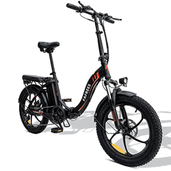 [Oficial] Fafrees F20 Bicicleta eléctrica, Bicicleta de montaña eléctrica de 20 Pulgadas para Adultos, Motor de 250W, 15Ah Batterly, 25 km/h, Negro características