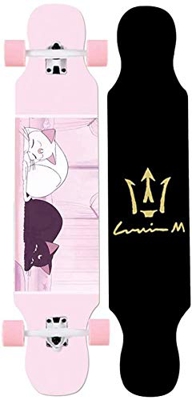 AIVYNA Skateboard, Longboard estándar, Principiantes Skateboards 4 Ruedas Scooter, Adulto Chicos Niñas Profesional Cepillo Calle Dance Board Adolescen