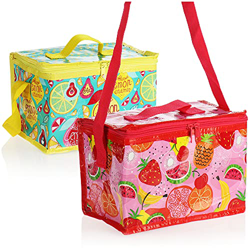 com-four® 2X Bolsa Nevera - Caja Térmica Plegable Clásica - Pequeña Bolsa Aislante para Picnic, Camping, Exterior, Deportes [la selección varía] (02 P en oferta