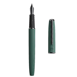 Picasso 916 - Pluma estilográfica de metal, punta extrafina con caja de bolígrafos características